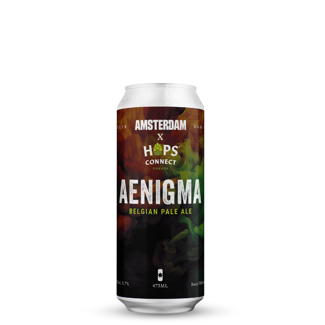 Aenigma Belgian Pale Ale 473ML | 6 Pack